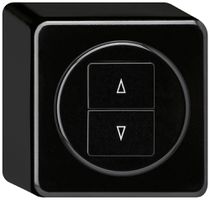 AP-Storentaster basico schwarz mit 2 Funktionstasten Steckklemme