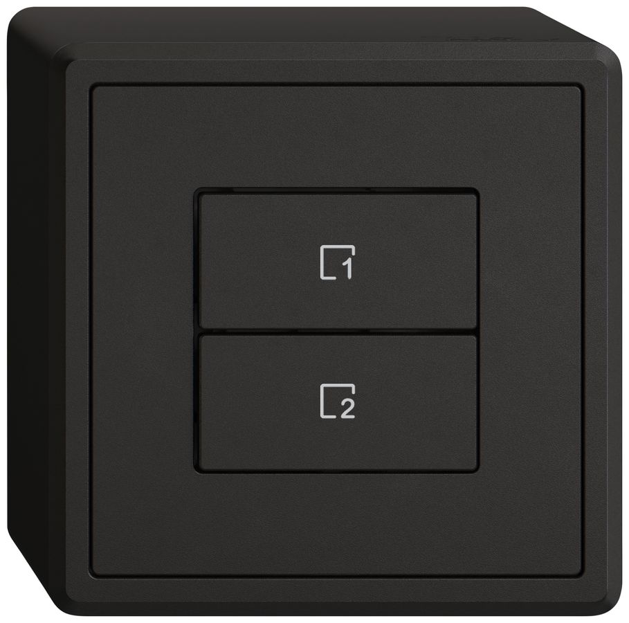 Poussoir scènes AP EDIZIO.liv Wiser SNAPFIX® 2 scènes 2 touches WLAN no