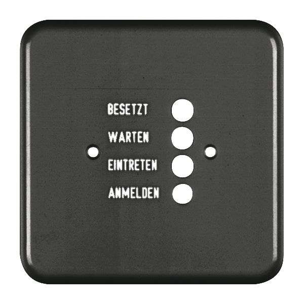 Abdeckplatte FH I zu 962764150 schwarz