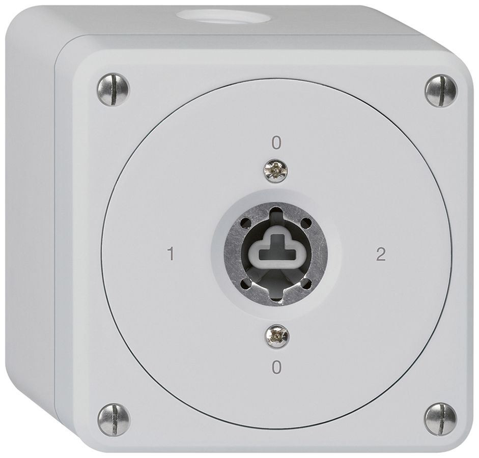 Interrupteur à clé AP robusto sans clapet sans cylindre 2/1P gris