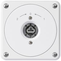 UP-Schlüsselschwenktaster robusto weiss o.Deckel o.Zylinder Wechsler für Kombi