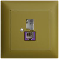 Presa INC T+T 6P/1×RJ45 DSL-a banda larga EDIZIOdue olive