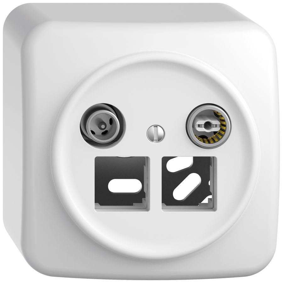 AP-Multimediadose TV-R STANDARDdue SNAPFIX® EASYNET f.2×RJ45 S-One 4dB ws