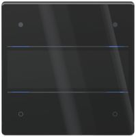 UP-Tastsensor Theben LUXORliving iON4 G LED Mit Beschriftungsfeld schwarz