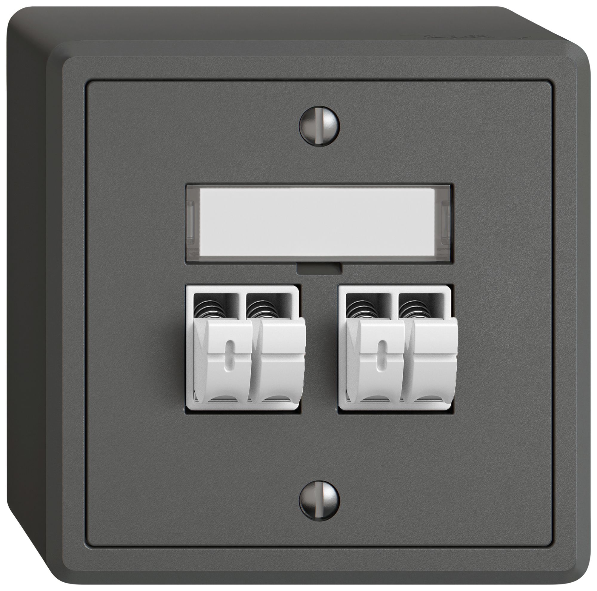 AP-Audiodose EDIZIO.liv SNAPFIX® 2× dgu