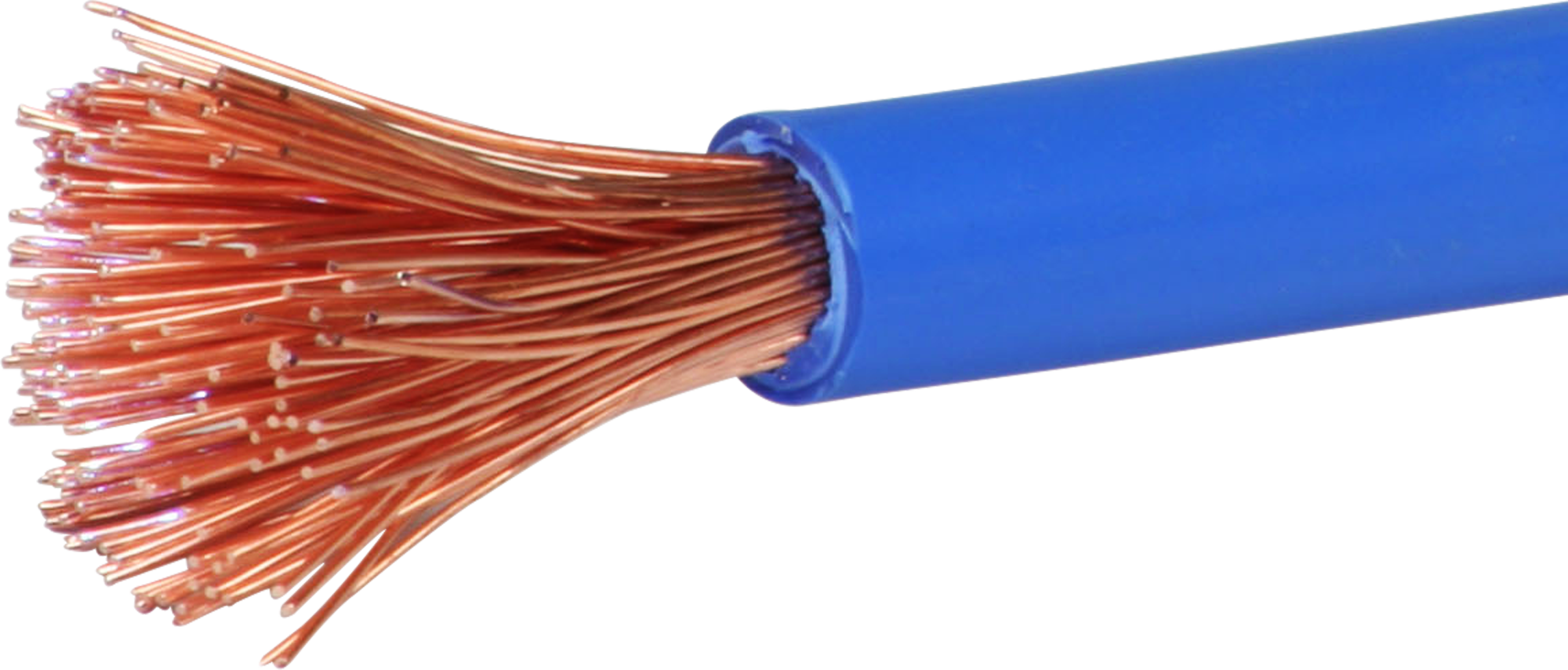 T-Litze 25mm² hellblau Eca