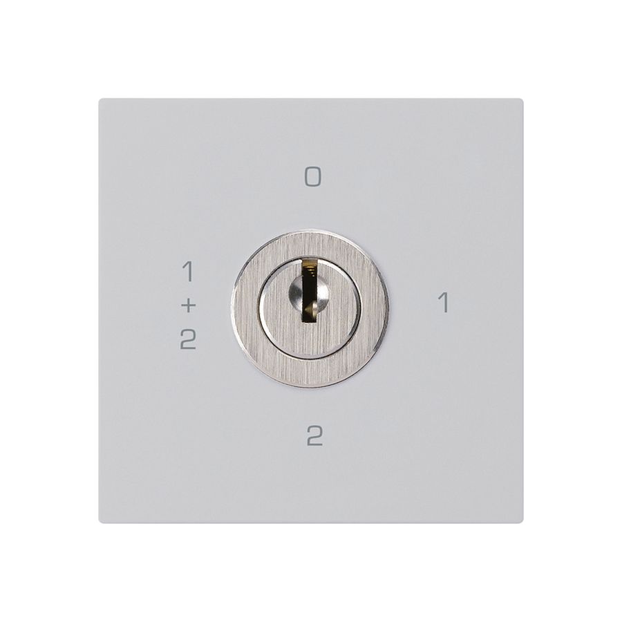 Intérieur interrupteur à clé kallysto 1/1L gris clair avec serrure Kaba 8