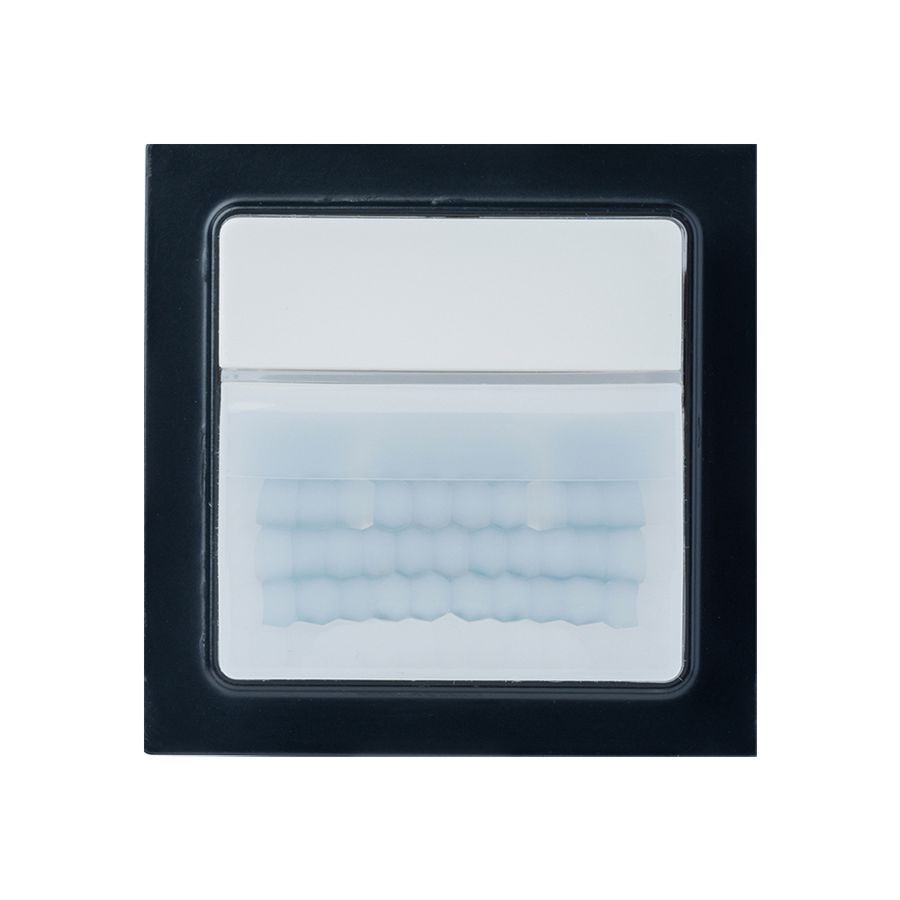 EB-Bewegungsmelder LUXORliving BI CH 180° Ø14m, schwarz