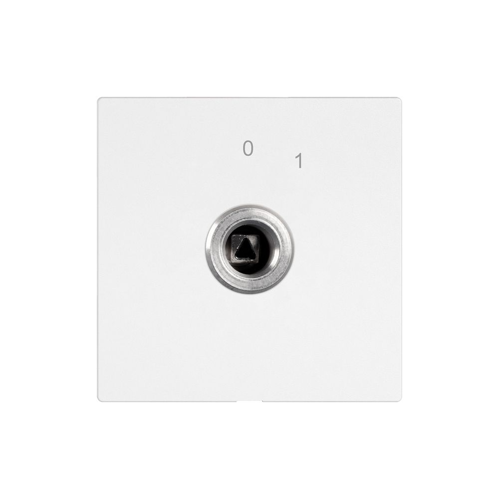 Interruttore a chiave EDIZIO.liv 1P quadra./triang.20A 690V 0-1 bi