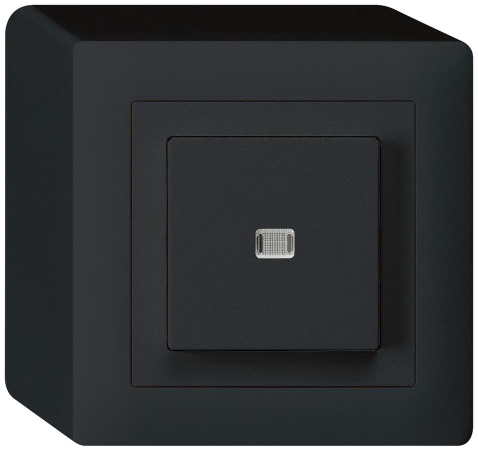 AP-Leuchtdrucktaster kallysto AR/2L schwarz