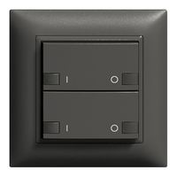 UP-Taster ZEP 2K/2T ON-OFF Zentral-Nebenstelle EDIZIOdue schwarz