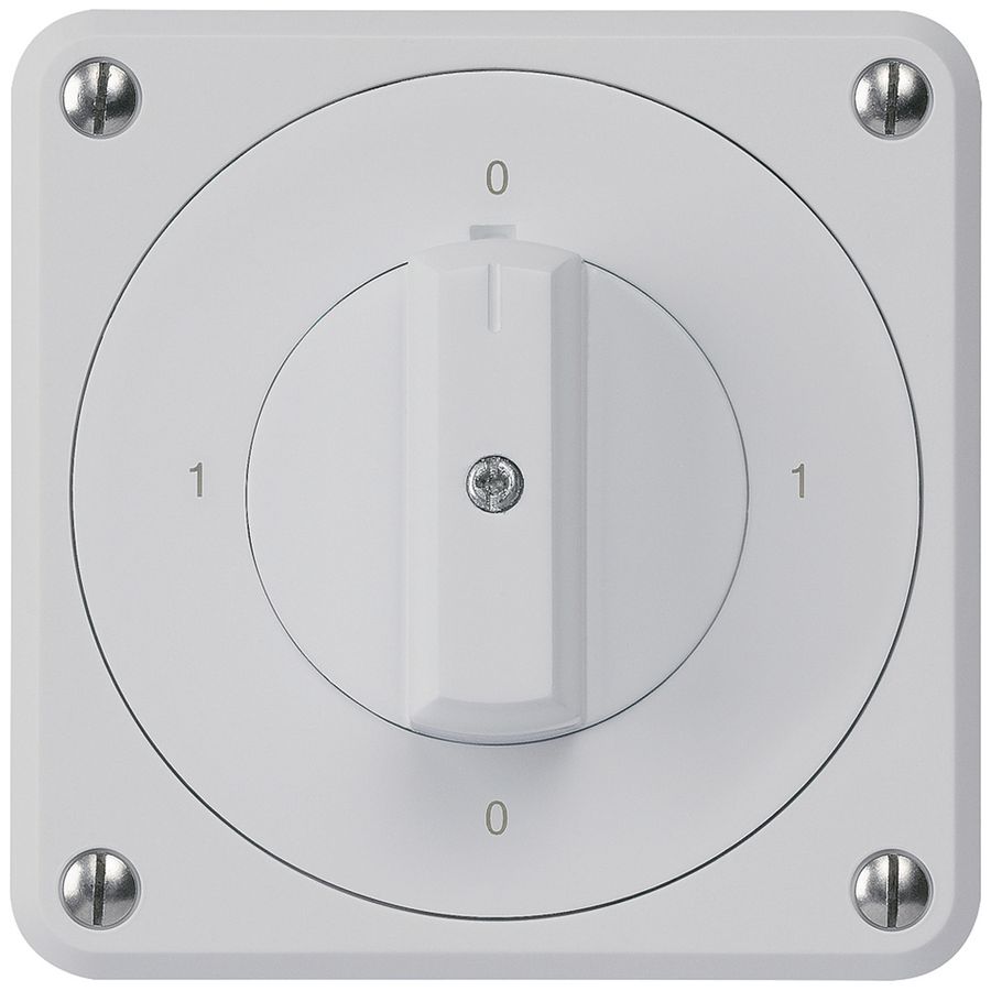 UP-Drehschalter robusto IP55 S0/2P grau für Kombination