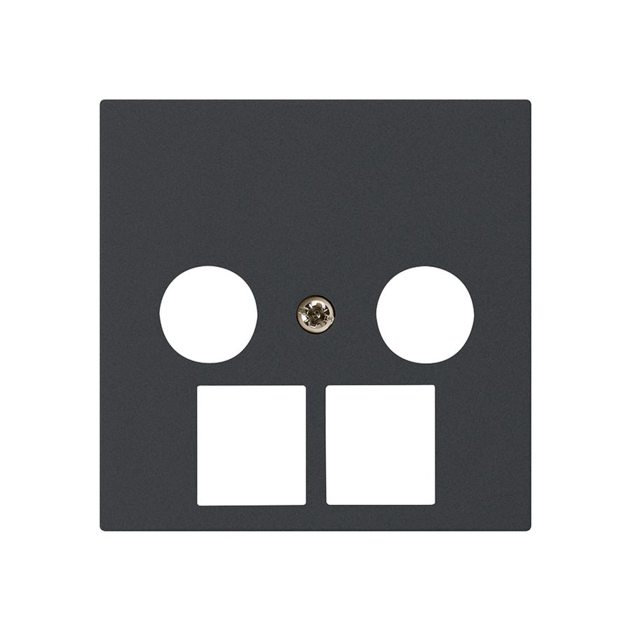 Frontplatte kallysto 2×koaxial/2×RJ45 schwarz