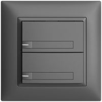 UP-Taster KNX 2-fach EDIZIOdue dunkelgrau RGB mit LED mit Papiereinlage