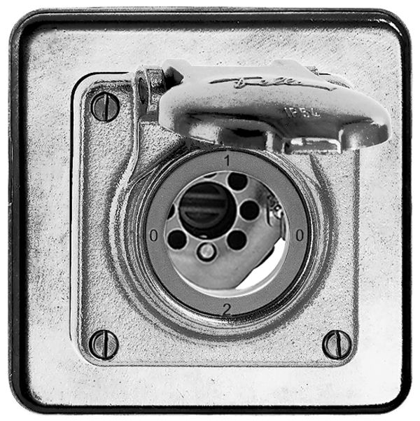Interruttore rot. INC bagn.2/2P Al natura per serrat. senza cilind