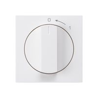 Frontset für Schwenktaster weiss 60×60mm kallysto 0<-1