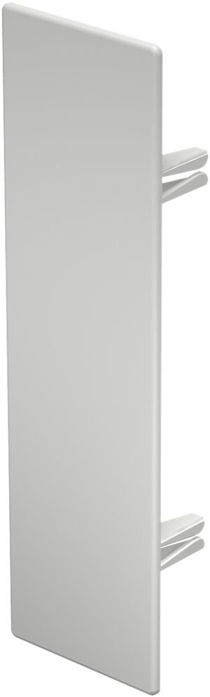 Plaque de fermeture Bettermann pour canal d'installation WDK blanc pur 60×210mm