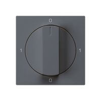 Einsatz zu Drehschalter kallysto 0/2L anthrazit mit Drehgriff