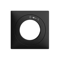 Frontset EDIZIOdue 0<-1 schwarz 60×60mm für Schwenktaster