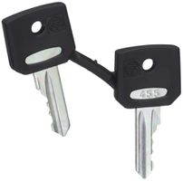 Jeu de clés no.455 Schneider 2 clé rechange