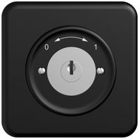 UP-Schwenktaster STANDARDdue SNAPFIX® 0<->1/1P mit Schloss & 2 Schlüsseln sz