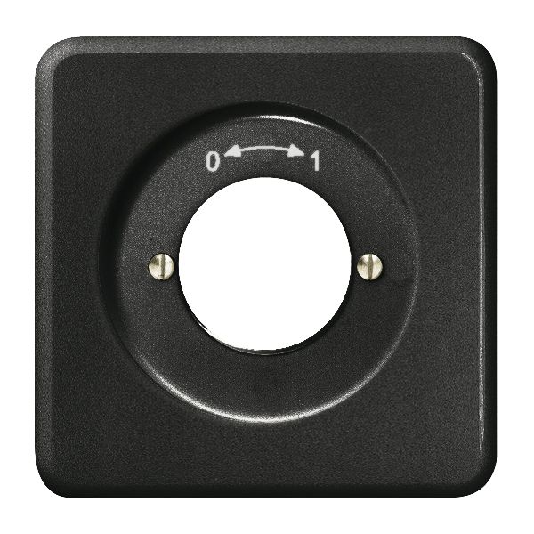 UP-Frontset 0-1 schwarz, für Schlüsselschwenktaster FH