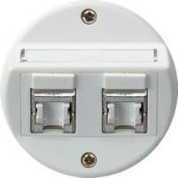 UP-Einsatz basico A Kat.6 2×RJ45/s Schrägauslass weiss