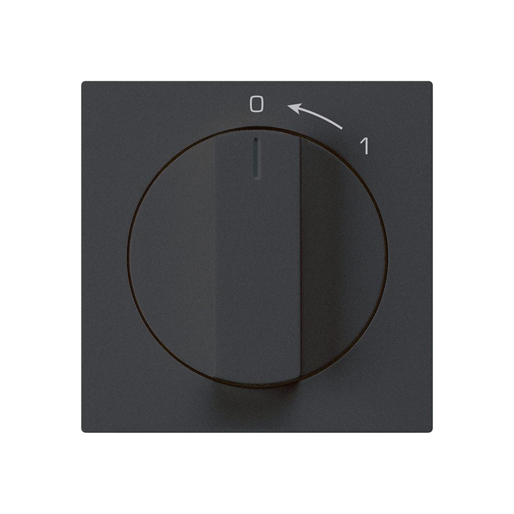 Schwenktaster 0<-1/1L schwarz kallysto mit Drehgriff