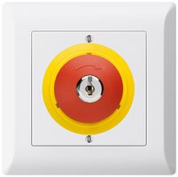 Contact pivotant à clé ENC kallysto.line ARRÊT D'URGENCE blanc