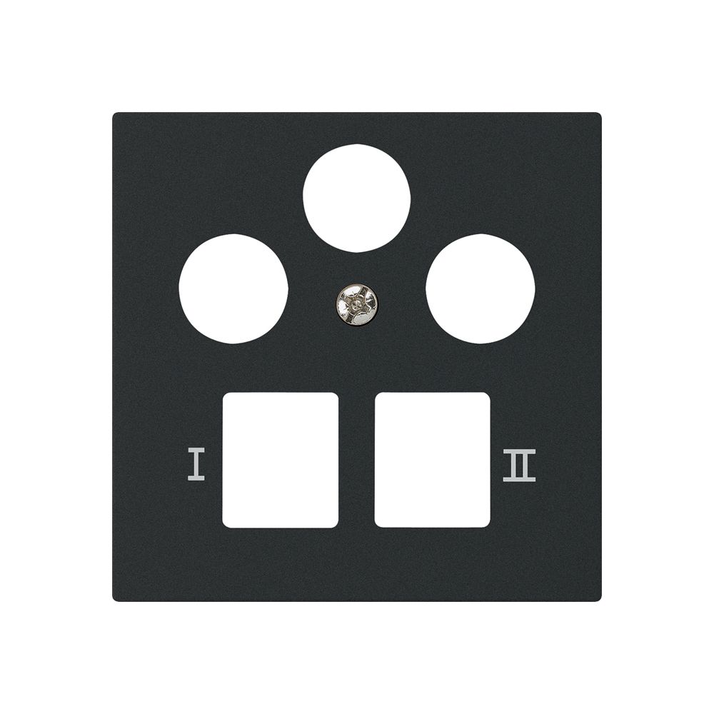 Plaque frontale kallysto pour R&M HWS noir 3 trous SAT multimédia