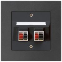 Prise ENC audio kallysto.pro 2× noir borne à étrier pour 2 haut-parleurs