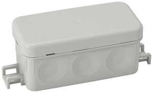 Boîte de dérivation AP ELTAG ABB AP45 Mini 2K 105×43×40mm IP65 gris