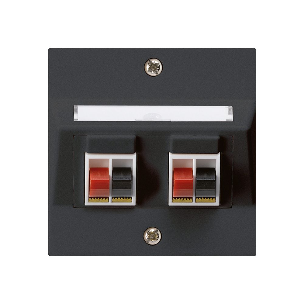 Prise ENC audio kallysto 2-fois noir borne à étrier pour 2 haut-parleurs